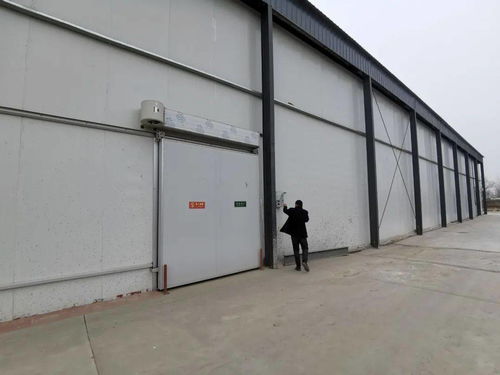 莘縣農(nóng)產(chǎn)品冷鏈倉(cāng)儲(chǔ)物流項(xiàng)目助力鄉(xiāng)村振興